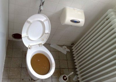 verstopfte Toilette